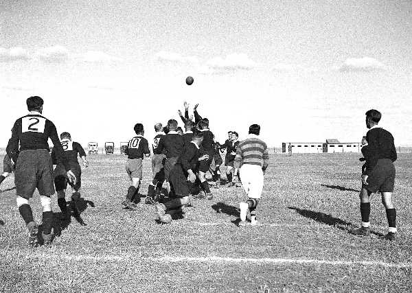 1951 1LF 1950  Sports   Fayid Canal Zone654